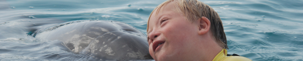 De Groene Klapstoel steunt Stichting Tess